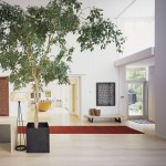 ficus05