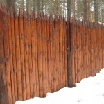 iz-brevna22