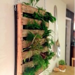 pallet33